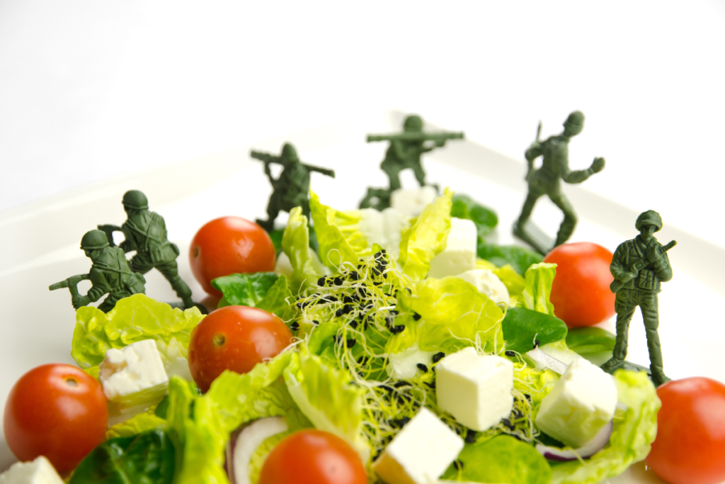 Tricks Of The Trade: If You’re Celebrating A National Food Day, Be Prepared For War! 1 A salad topped with plastic soldiers ready for war on national food day.